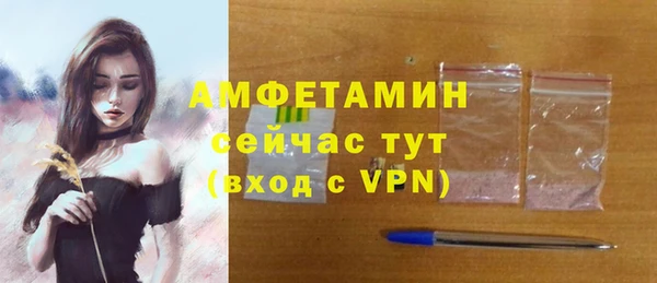 гашик Белокуриха