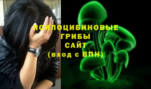 не бодяженный Богородицк