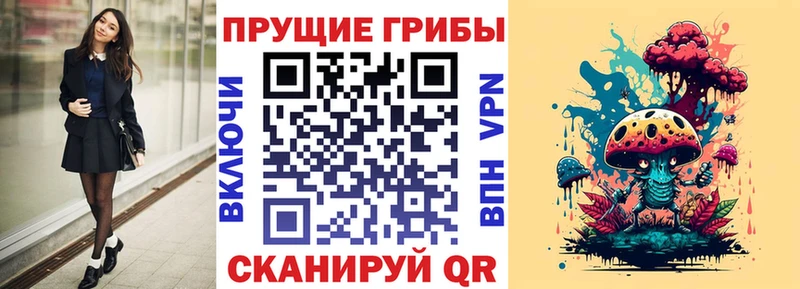 Галлюциногенные грибы Psilocybe  Пионерский 